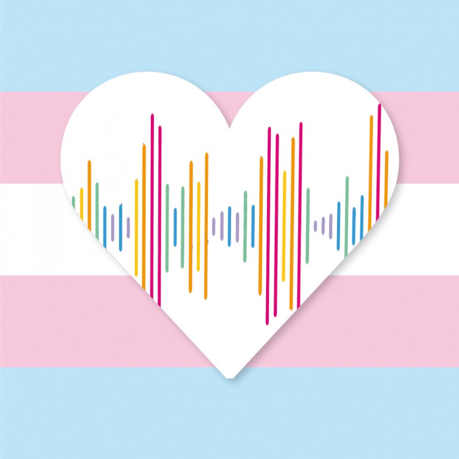 Transidentität Logo
